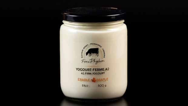 Yogourt Ferme A2 - Érable - Ferme Phylum